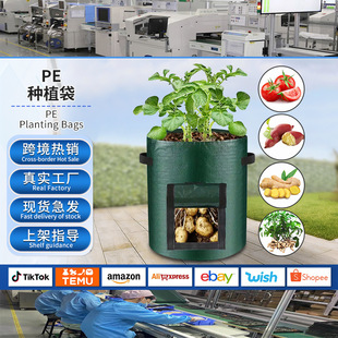 �����Nֲ����ݮ��ֲ��growbag�@ˇfabricpots�����������Դ���