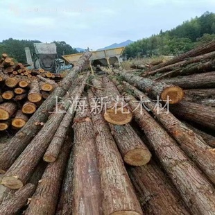 һ��ɼľԭľ ɼľ�Aľ ɼľ�g����  ɼľ�� ��Ѵľ��  �ӵ�ľ��