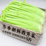 山东寿光新鲜西芹5斤榨汁芹菜生吃凉拌热炒沙拉当季蔬菜农家发