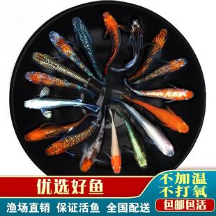 �^�����F��ˮ�^�p�~ħ���~��ˮ�~С�\�����~�`�Fˮ����w������]