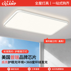 リビングルームの天井灯ledハイライト高級感シンプルでシンプルなメインライト中山家具照明セット