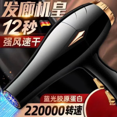 电吹风机家用大风力发廊大功率蓝光速干负离子学生宿舍冷热风静音