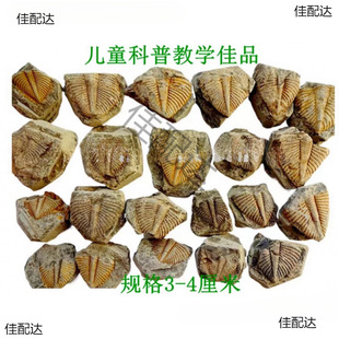 ��Ȼ��ʯ�^�pʯ�ջ�ʯ���~�xβ��覴ý̌W���Ճ�ͯ�dȤ��ʯ2665