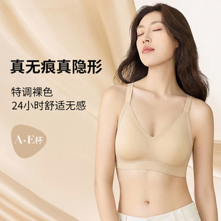 2026���¿�o�ۃ����»鱾����t���´����@С����±����|����