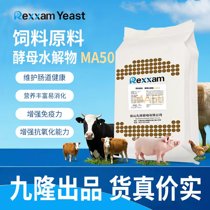 九隆酵母酵母水解物猪牛羊营养饲料添加剂MA50孕畜可用
