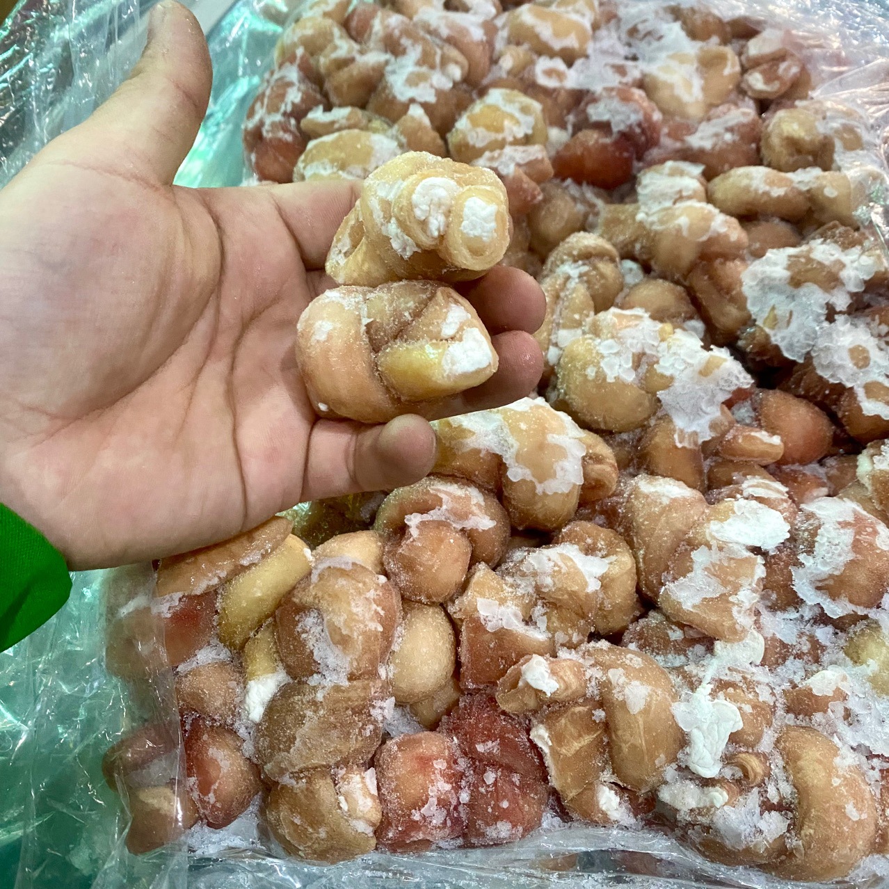 冒节子肥肠节子猪小肠 20斤/箱350个左右 肥肠节半熟火锅串串食材