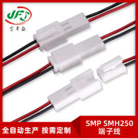 2.54MM洁面仪电机连接线 内部端子线束 然湖SMP SMH250灯条对接线