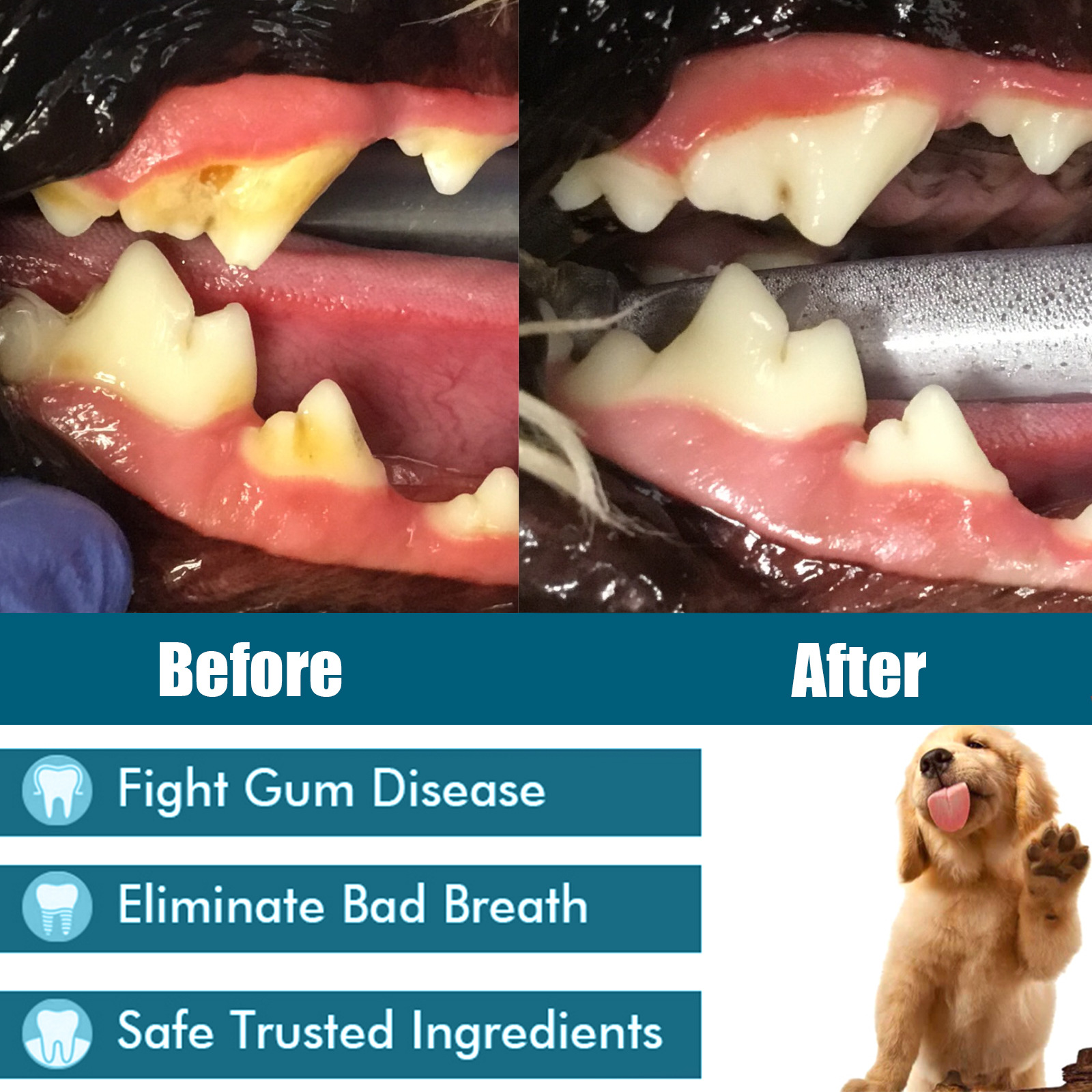 Spray Oral Eliminator Image 9