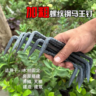 Woodworking Construction Tile Rivets, Wall Nails, Forged Claw Nails, Wholesale Square Two-Pointed Industrial Leech Nails, Others