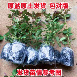 �������ٱ��¼�ͥԺ�̨�����¼������ļ��_���Nޱ����