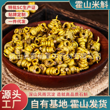 正宗霍山石斛米斛枫斗龙头凤尾太平畈乡地理标识产品仿野生种植