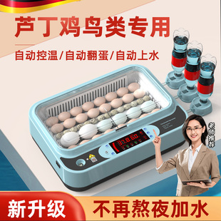 Free Shipping German Incubator Small Household Fully Automatic Intelligent Egg Incubator Parrot Bird Egg Chick Rutin Chicken Incubation