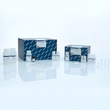 MinElute PCR Purification Kit (250)�Լ� ����28006