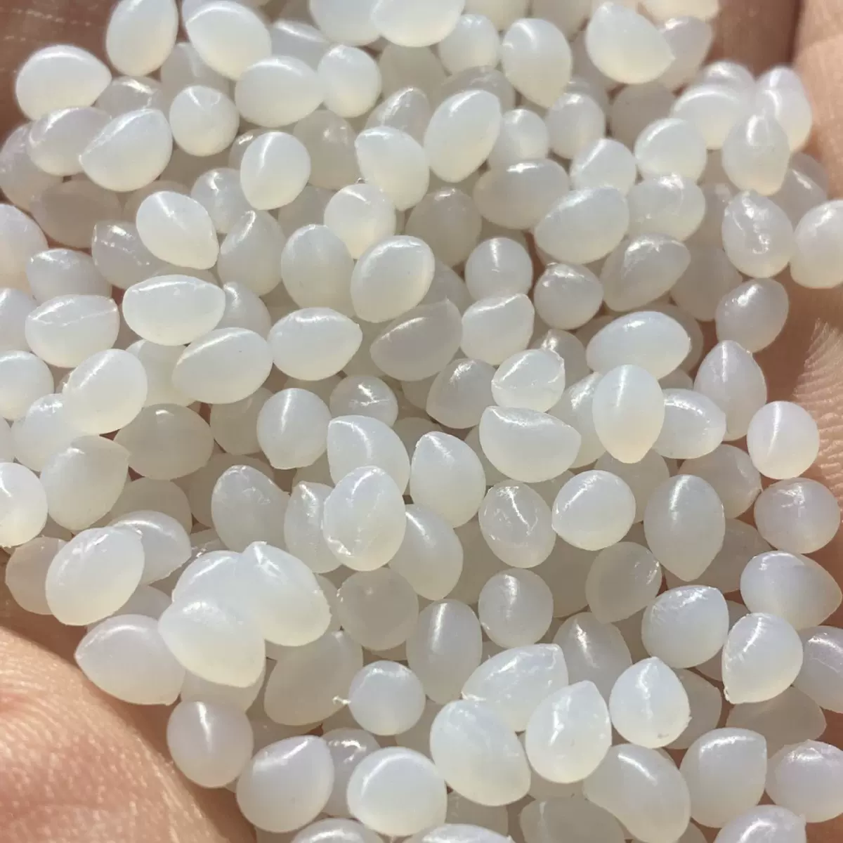 注塑挤出用PLA颗粒料价格 聚乳酸PLA颗粒厂家 再生PLA原料粒子