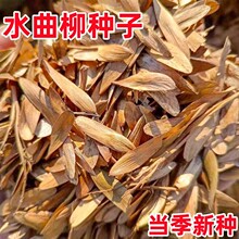 ²ˮNӘ |ľN NľNѰ]