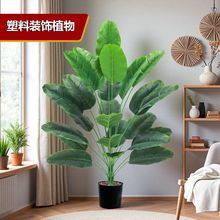 绿植旅人蕉室内客厅角落橱窗落地装饰摆件塑料芭蕉树假树直发直销