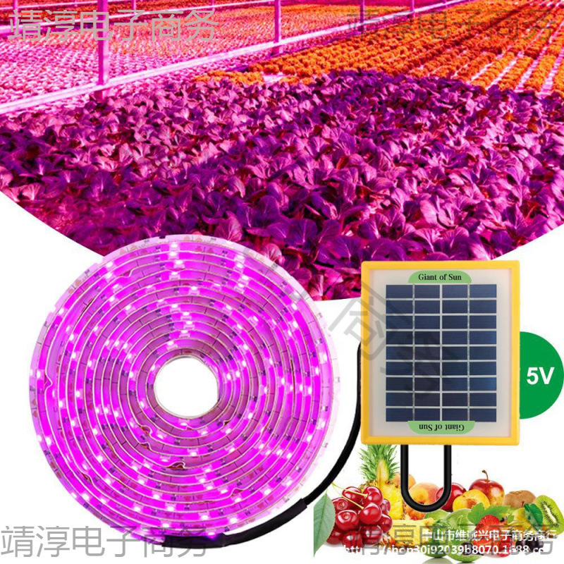 メーカー直売室内植物成長灯太陽光多肉補光灯LED全スペクトルは太陽光野菜に似せています。|undefined