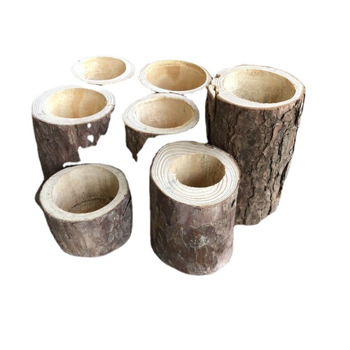Wooden pile flowerpot creative pine camphor wood log tree stump wooden succulent plant Dendrobium wood pile flowerpot