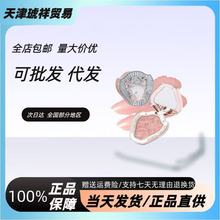 ��֪�����t���ǫFϵ�и�����Û�φ���߹�ѩ˪����������������ɫ