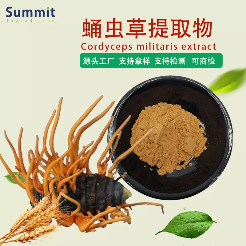 工厂现货蛹虫草提取物水溶性可商检量大从优可拿样蛹虫草提取物