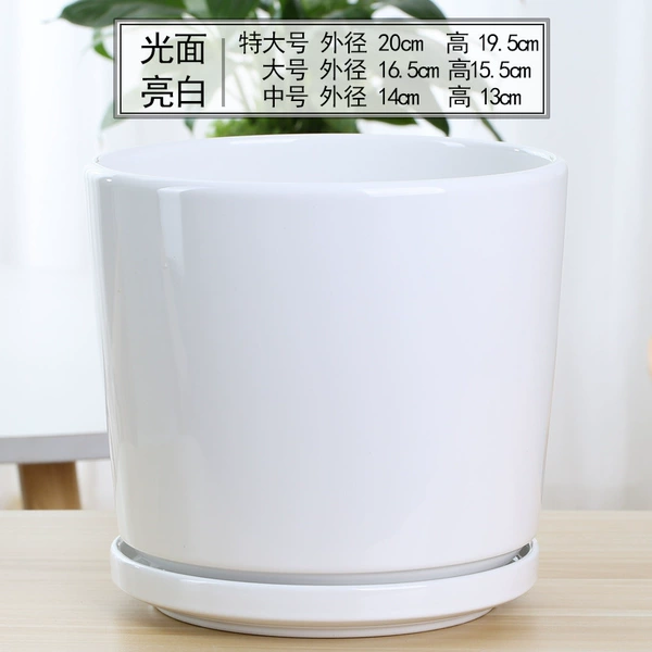 [藕色 93006白]