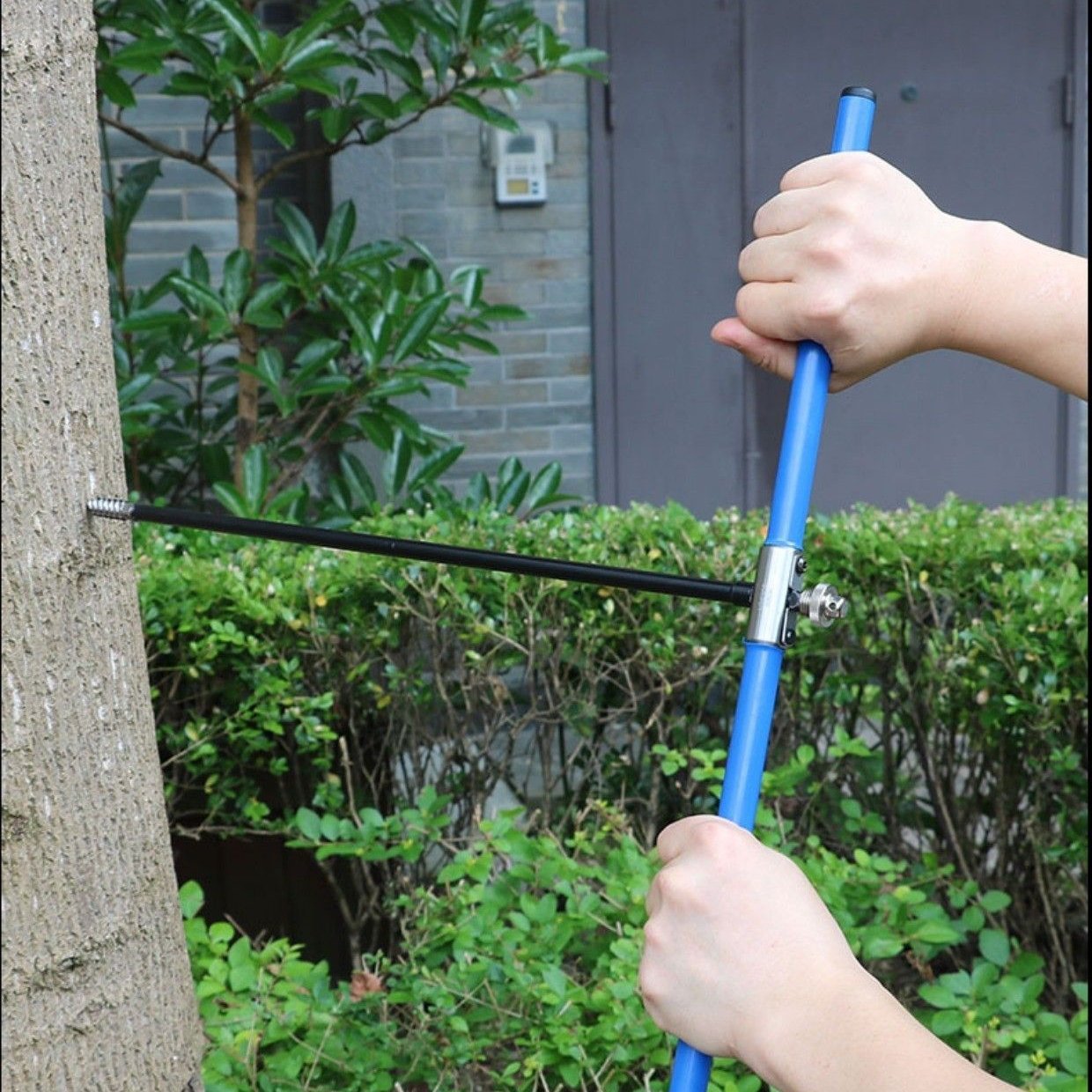 637977921169726322206