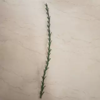 仿真植物可连接体塑料壁挂藤条配件 仿真松针藤条 壁挂花叶松针藤