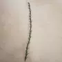 仿真植物塑料壁挂藤条