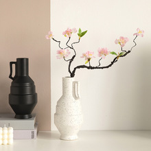 ��ɫ�մ��ֱ��ڰ׻�ƿ�ζ�����͏d�����ɻ��廨�����sˇ�g�[��