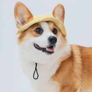 ♡ Dog Hat with Exposed Ears, Corgi Puppy Sun Hat, Cute Photo Pet Fisherman Hat, Cat Sun Protection Dog Head