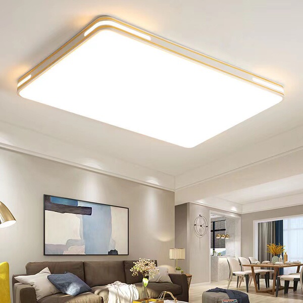 LED ceiling light for living room