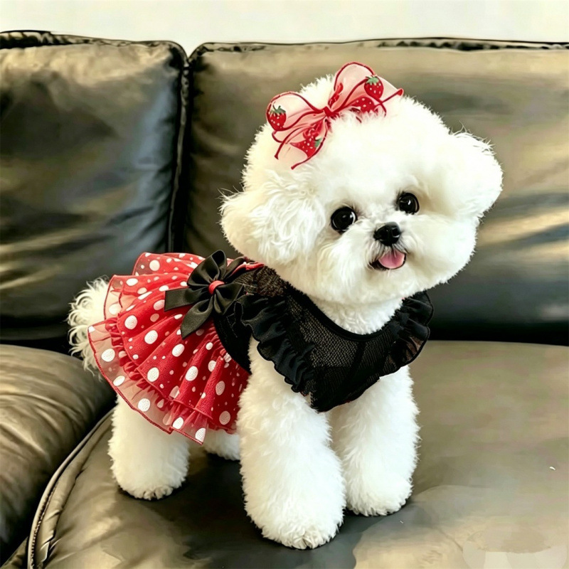 狗狗裙子秋装可爱波点蝴蝶结连衣裙小型犬透气比熊泰迪网纱公主裙