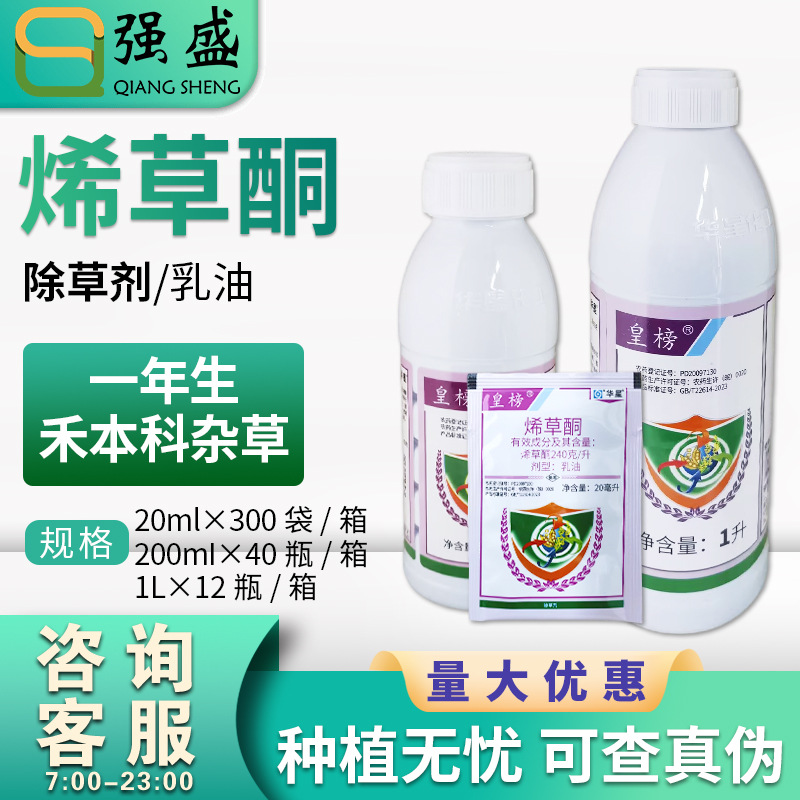 安徽华星皇榜240克/升烯草酮冬油菜田大豆田禾本科杂草除草剂农药