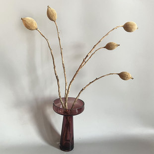 �U��ɻ�֦��Ȼֲ�﹤ˇƷ�Ҿ��b[���廨ˇ�g�[�O