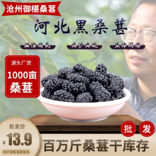 批发黑桑葚干桑葚子成熟无沙无硫桑椹干泡水茶饮桑葚干优选超大果