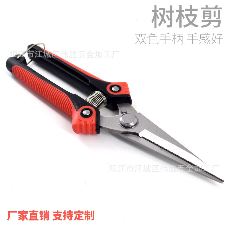 双色橡塑树枝剪疏果剪摘果剪刀修花家用园艺葡萄园林修枝剪塑胶柄