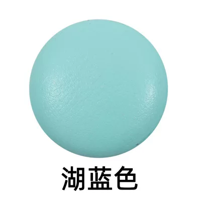 Car roof lining – Ceiling Detachment, Decorative Clips for Ships - 10pcs-send-installation-tools-lake-blue