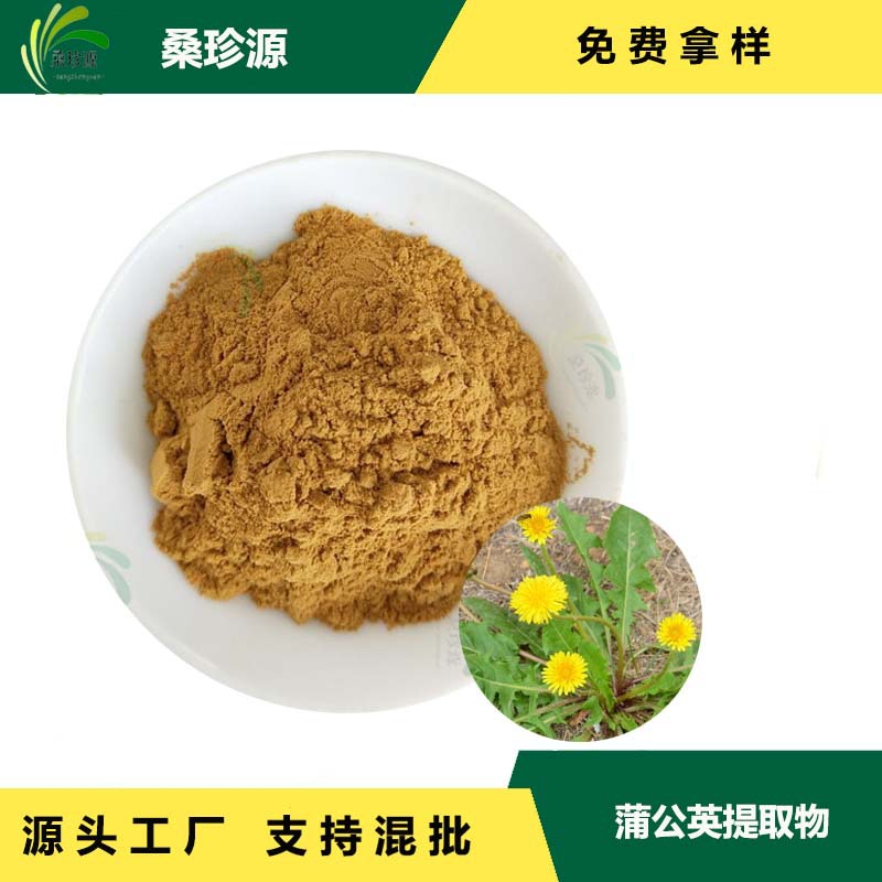 工厂直供蒲公英提取物 比例提取物 蒲公英原料萃取