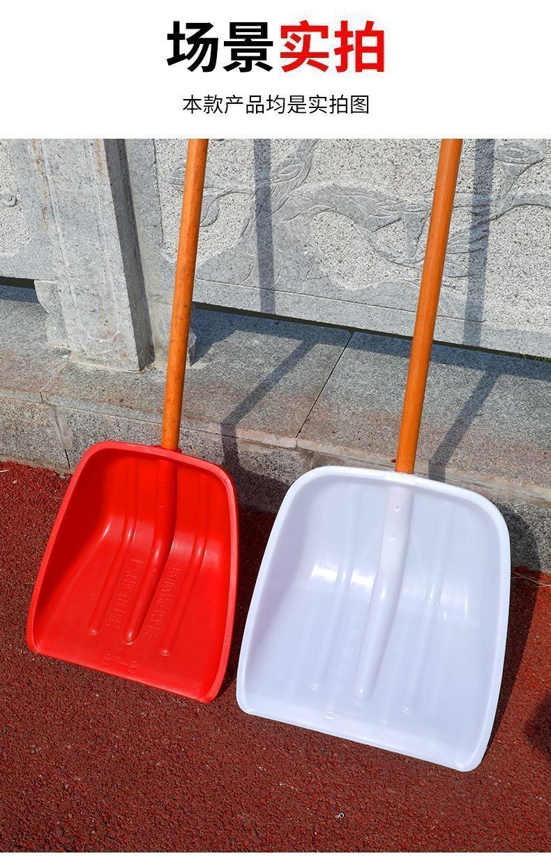 e161da8a-76a5-482e-8543-0010e9591a8e.jpe