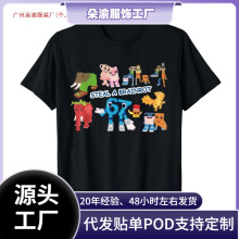�羳��T2025͵һ���Ը��ó�����Ȥ����ұ������T��ŮT