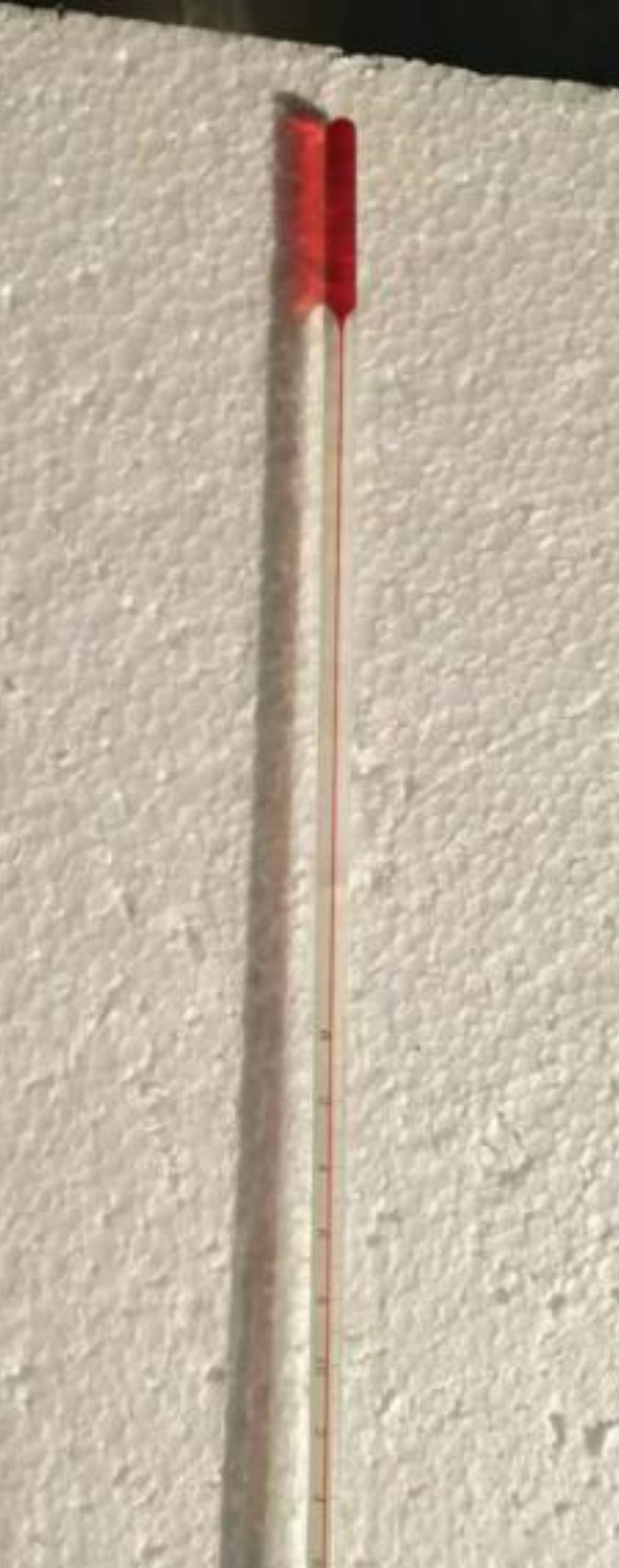 红色酒精温度计  型号 BO199-0-100库号  M62012