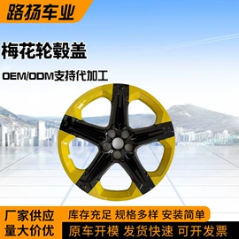 轮毂盖;大灯、前照灯;其他汽车改装
