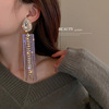 Silver needle, fashionable design earrings, silver 925 sample, European style, trend of season, internet celebrity