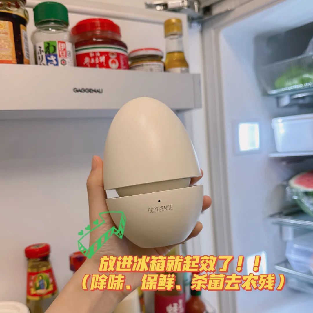 O1CN01RFwiOz1gFnsDjNc6j_!!2214