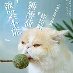Catnip lollipop ball, polygonum aacum cat chew toy, cat teaser, cat dental chew, cat toys, cat snacks