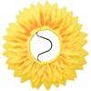 The opening ceremony of the sunflower head set of sunflower head set of sunflower face set enrollment