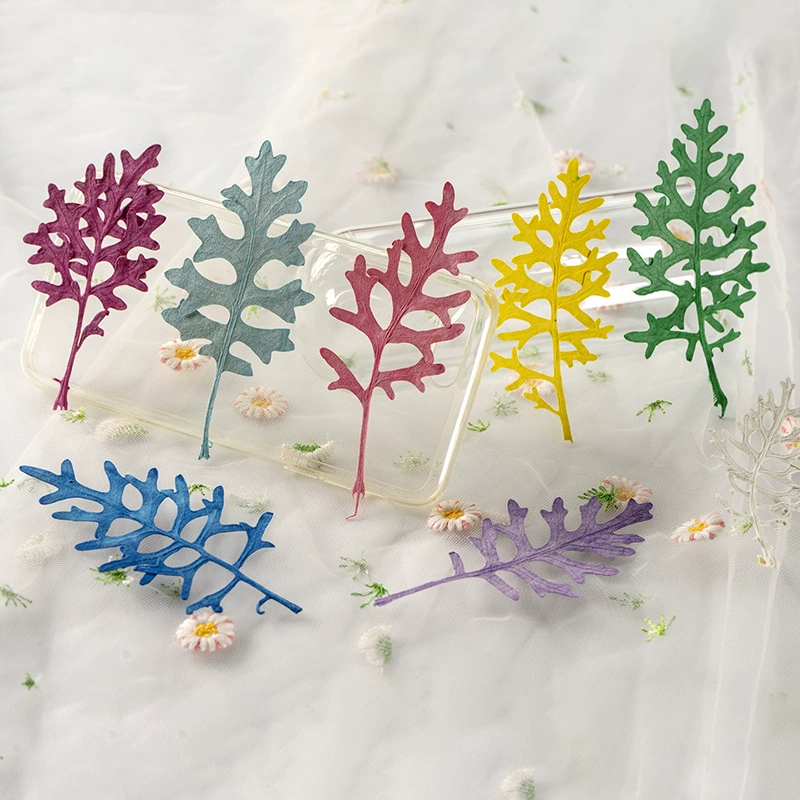 Серебряный лист хризантемы сушеный цветок тисненый образец DIY гель капля ручной работы настоящий цветок чехол для мобильного телефона свеча цветок фоторамка огненная Краска Печать