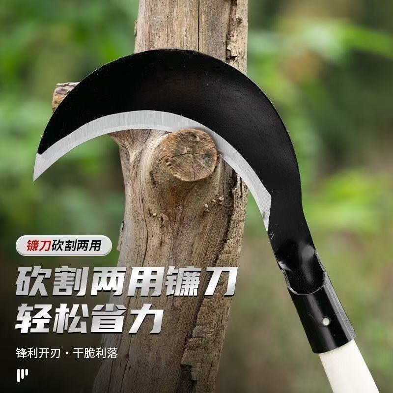 微信图片_20260624174106_94_4.jpg