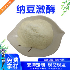 ナットウキナーゼ粉末 5000-40000FU ナットウキナーゼ 1kg 納豆エキス 納豆粉末 原料 食品グレード