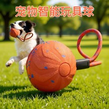 ���K��������늄Ӷ������ˮ��ҧE-TPU�����򹷹�����ĥ�������